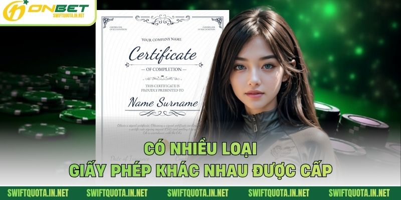 Có nhiều loại giấy phép khác nhau được cấp